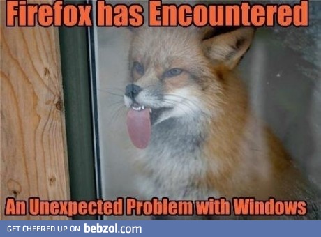 Firefox and problems with windows