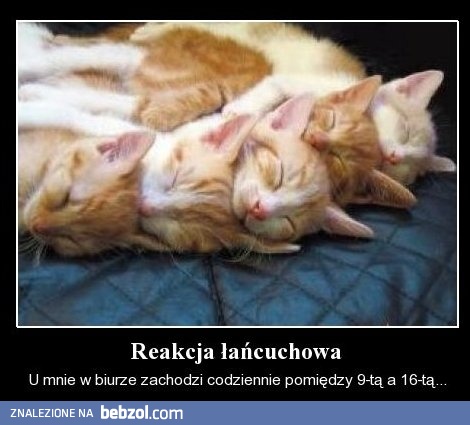 Reakcja łańcuchowa