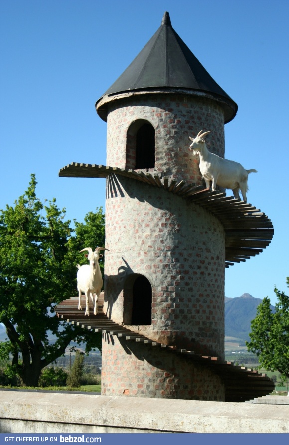 The Goat Tower.