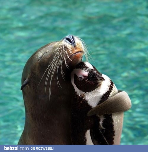 Najlepszy przyjaciel