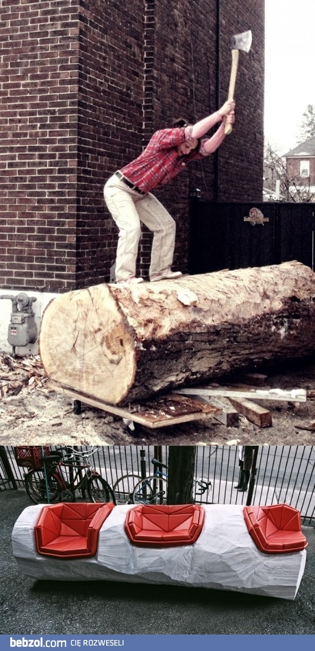 Drzewo przed i po obróbce 