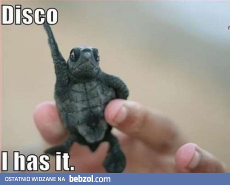 Ostatni dni wakacje - bawimy się! 