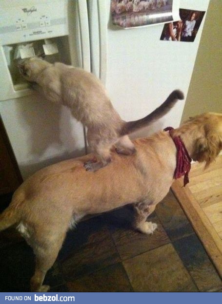 Teamwork