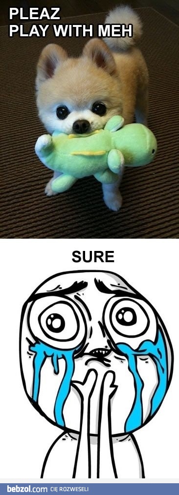 Proszę pobaw się ze mną