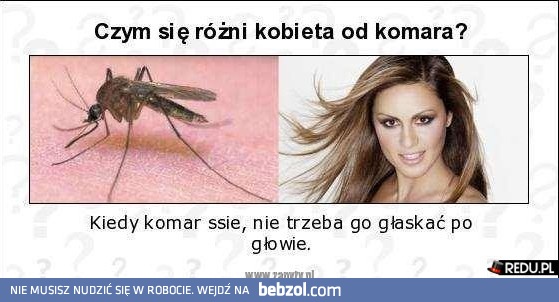 Kobieta a komar