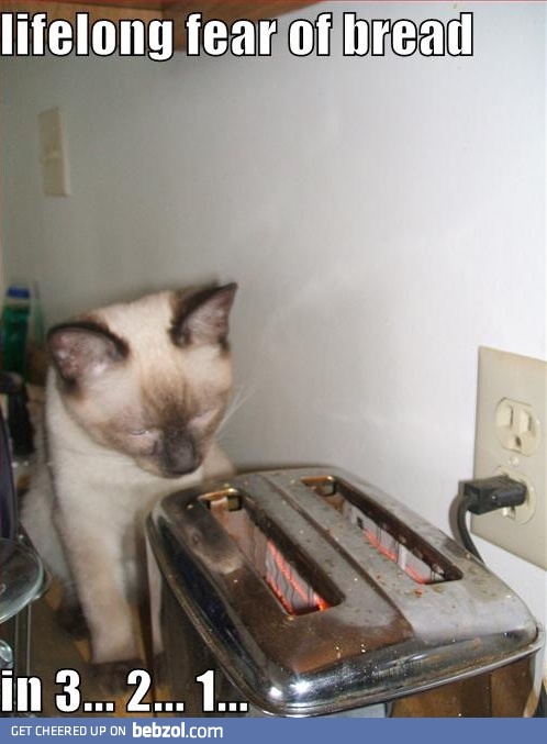 Lifelong fear of bread...