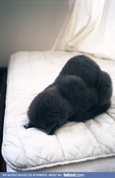 Nie jestem gotowy na dzisiejszy poranek