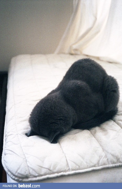 I'm not ready for morning yet.