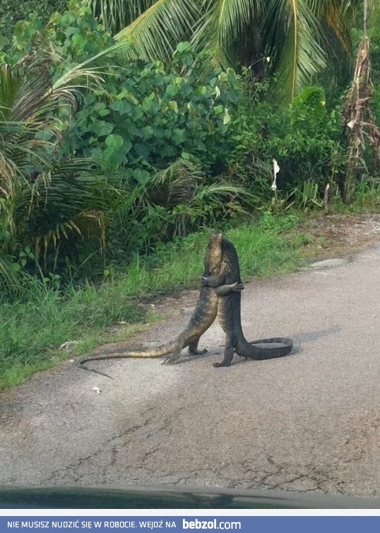 Spotkanie po latach..