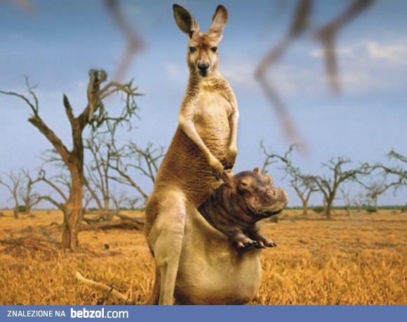 A gdzie jest mój tatuś..?