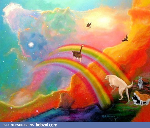 Tęczowy most - symboliczne miejsce gdzie trafiają zwierzęta kiedy nadchodzi ich czas 