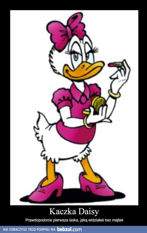 Kaczka Daisy