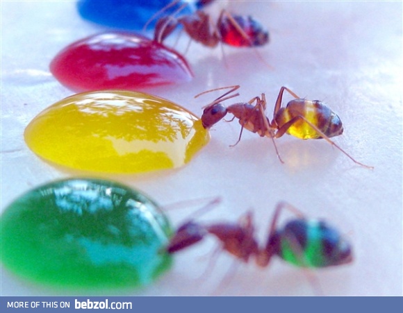 Cool color experiment  