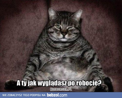 http://noto.lu/6441,A-ty-jak-wygladasz-po-robocie