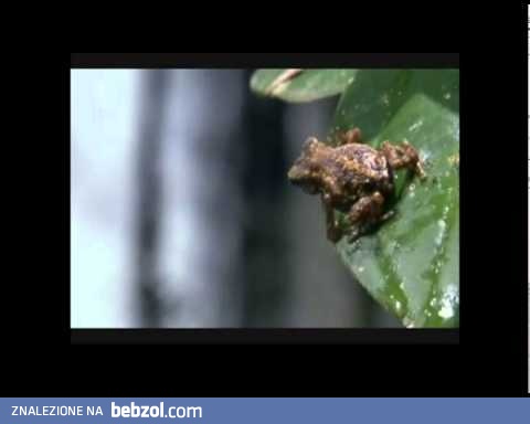 Trzyma w napięciu do samego końca...