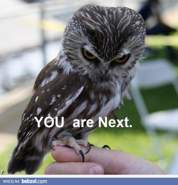 Ty jesteś następny! 