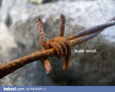 Drut kolczasty uwielbia metal
