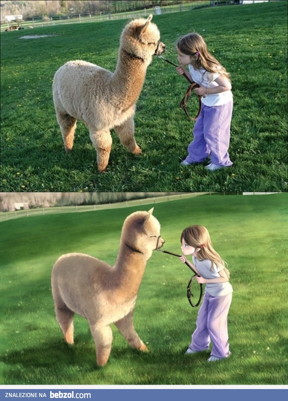 Rysunek na podstawie zdjęcia 