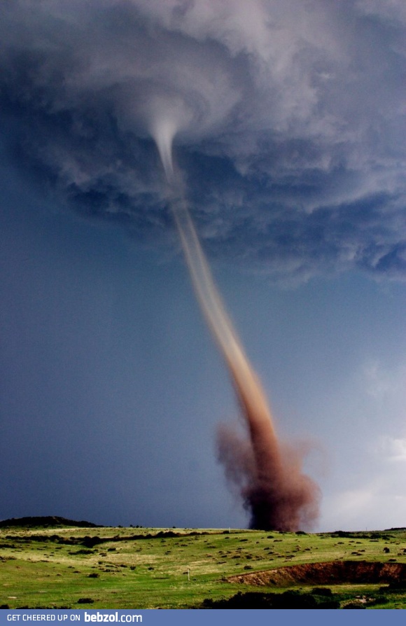 I am both shocked and in awe