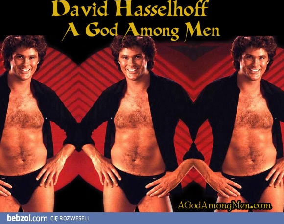 boski David Hasselhoff