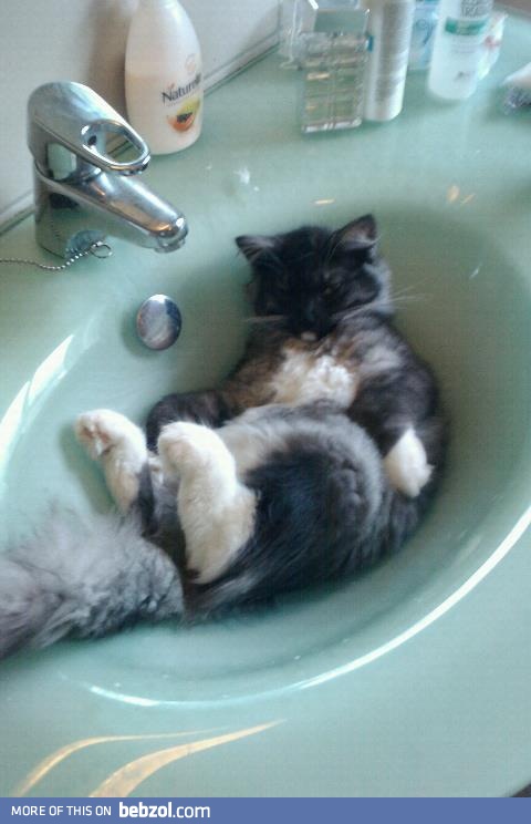 Woke up, went into bathroom, saw this.