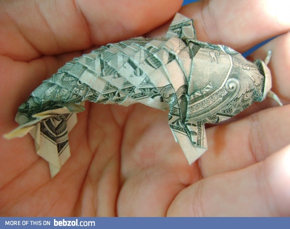 Currency Koi