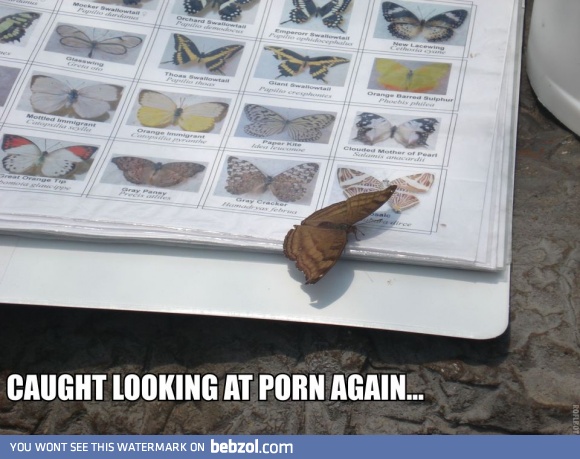 Well, this is embarrassing...