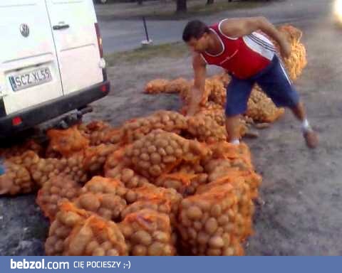 Targowisko w Żarkach...