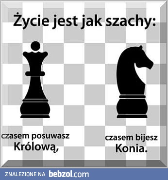 Szachy