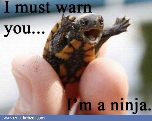 I'm a ninja
