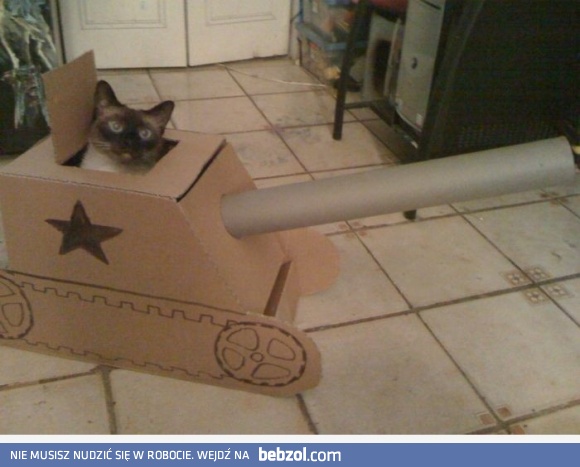 Szykuj się do wojny! 