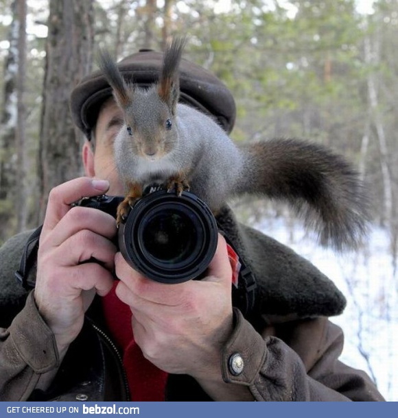 Squirell on the camera