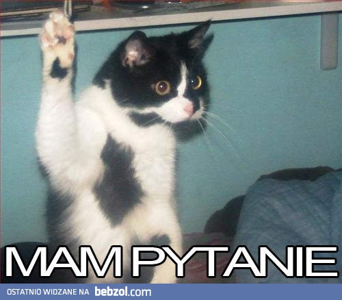 Przepraszam, mam pytanie...