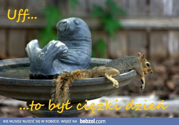 Ciężki dzień..