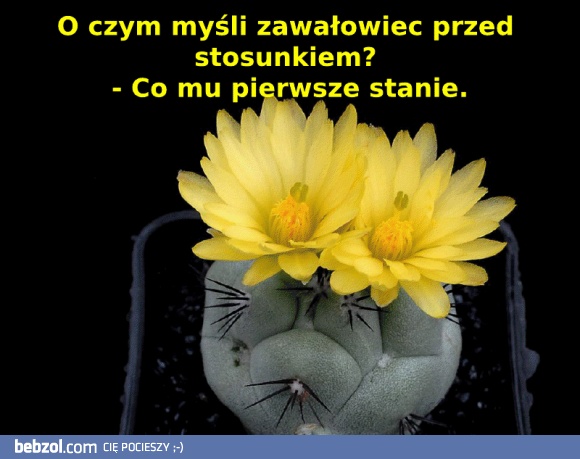 Myśli zawałowca w sytuacji intymnej...