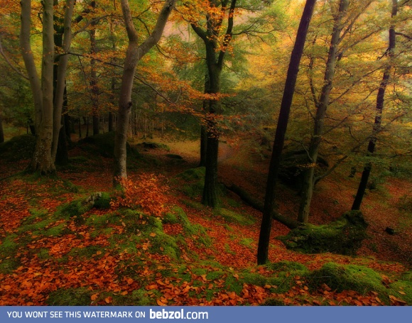 England in the Autumn 