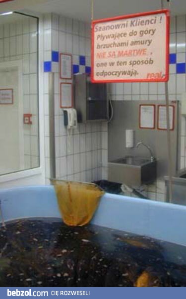 Sposób na odpoczywanie 