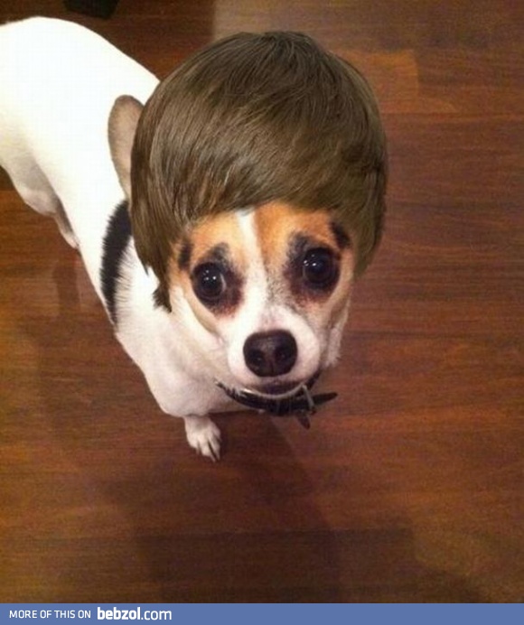 Justin Bieber doggystyle