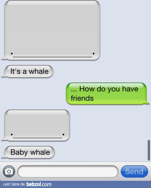 iPhone whales
