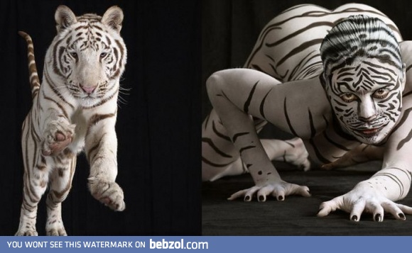 Amazing Bodyart
