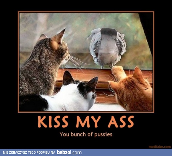 Możecie mnie pocałować!