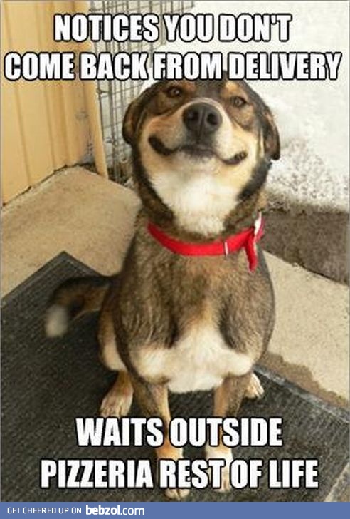 Really Good Dog Greg