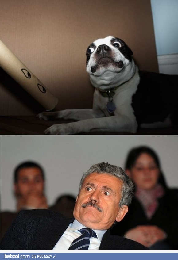 Jestem ciekaw co ich tak zdziwiło