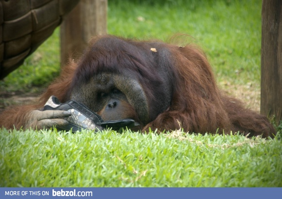 You're the only one who understands me, shoe...