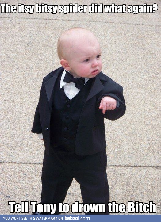 The itsy-bitsy spider