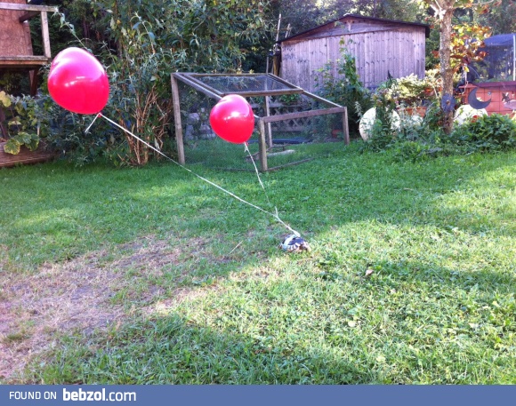 Our brand new turtle tracking system  