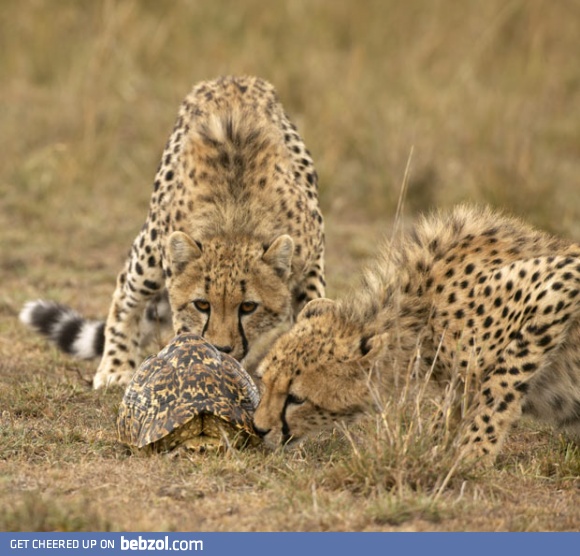 What form of wizardry is this?  