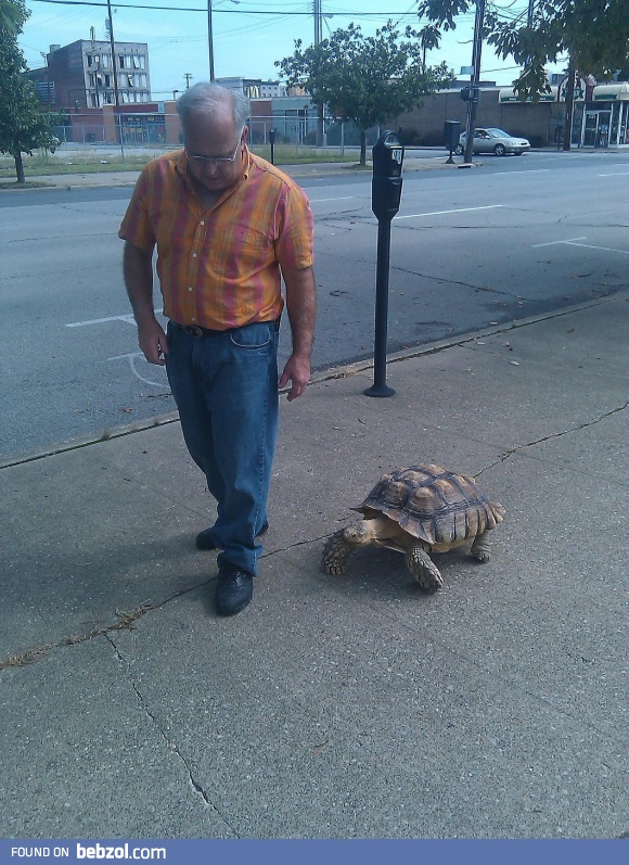 Just a guy out in the city, walking his pet.  