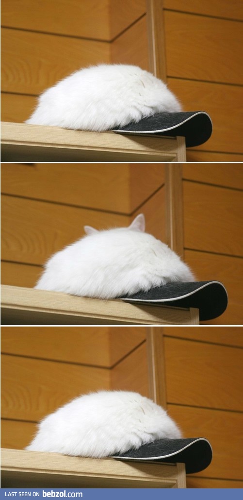 Nothing to see here. Just a stylish hat...