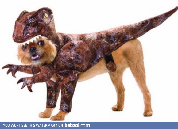 Dinosaurs are not extinct!